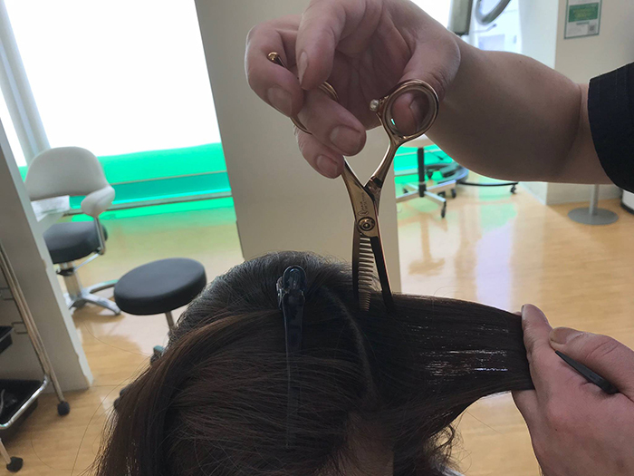 ヘアリセッターポインティング