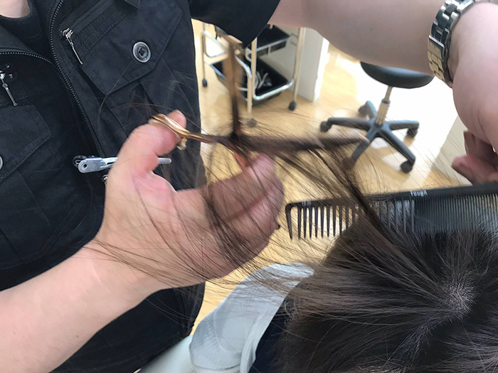 ヘアリセッターアンティング